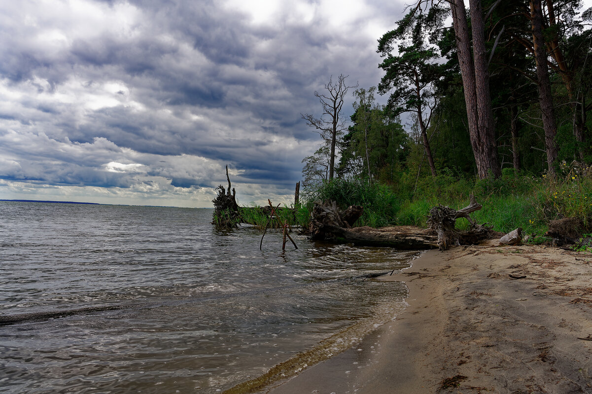 Пейзаж - Вячеслав Алтай