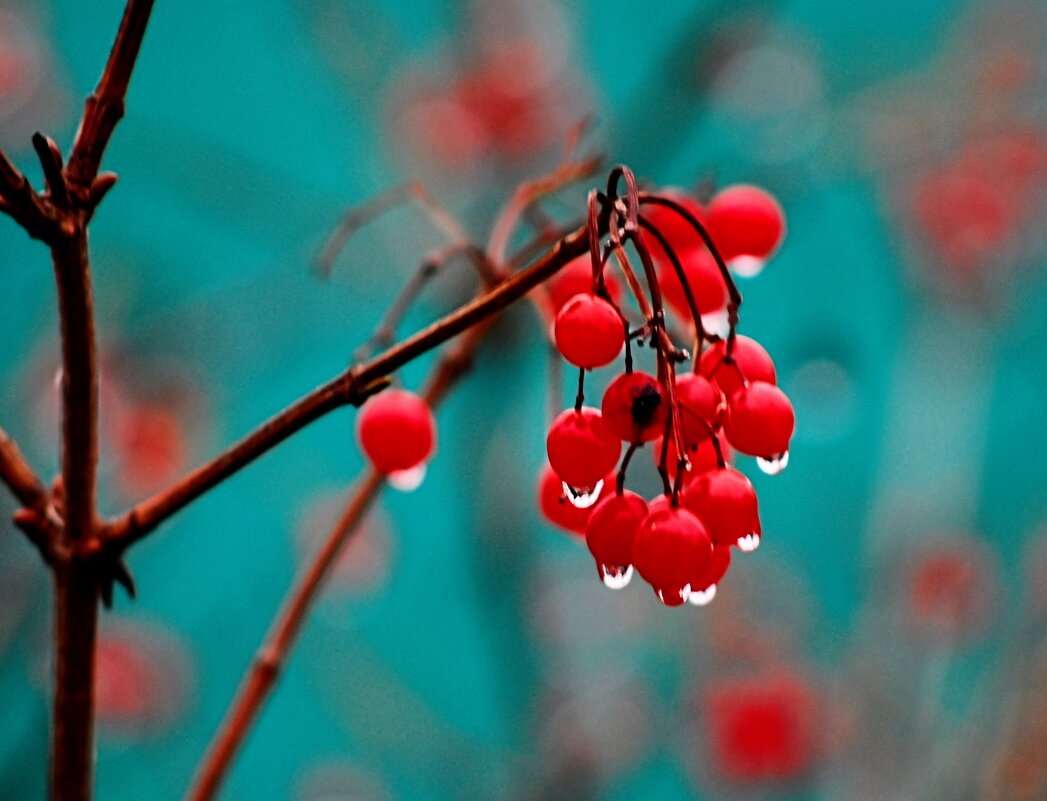 В декабре. - Владимир 