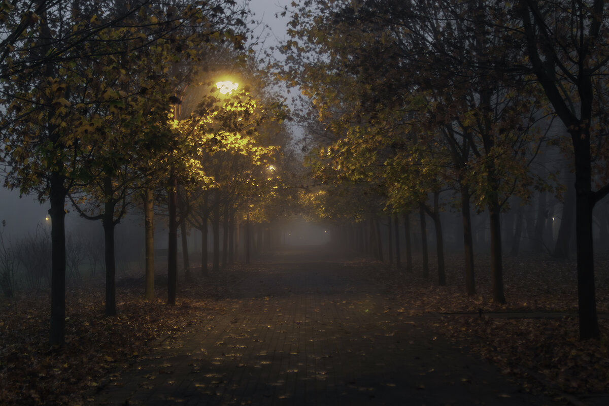 *** - Игорь Протасов