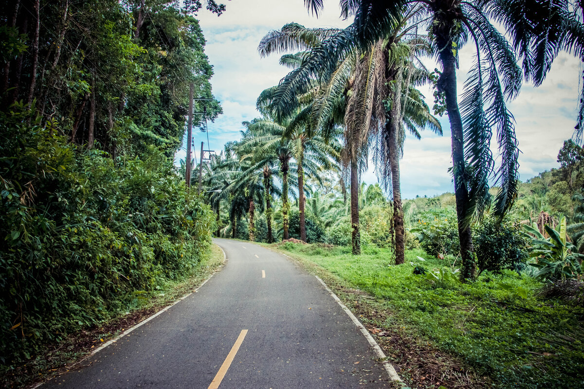 Дорога - Максим 