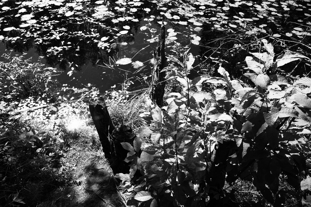 Фотография - Денис Безногов