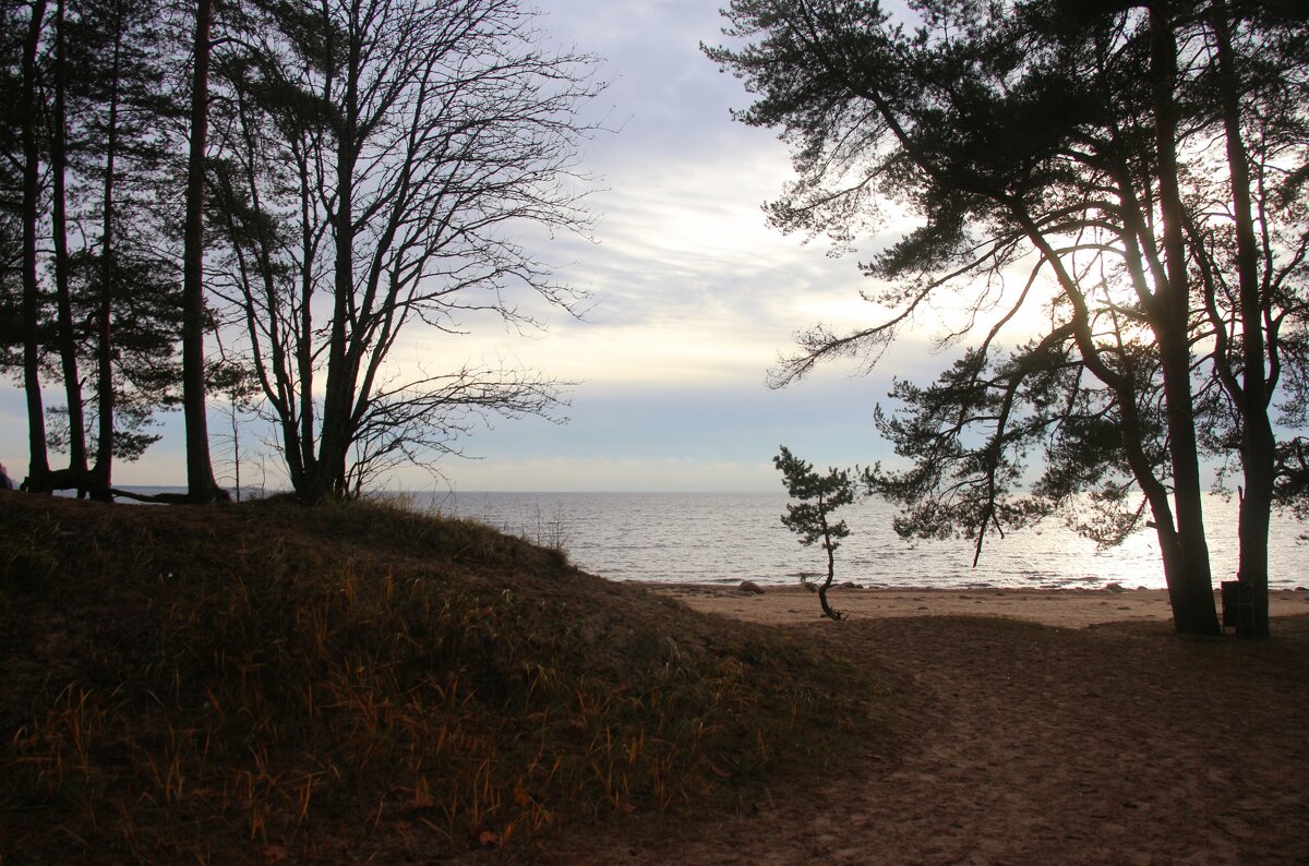 Репино - Наталья Герасимова