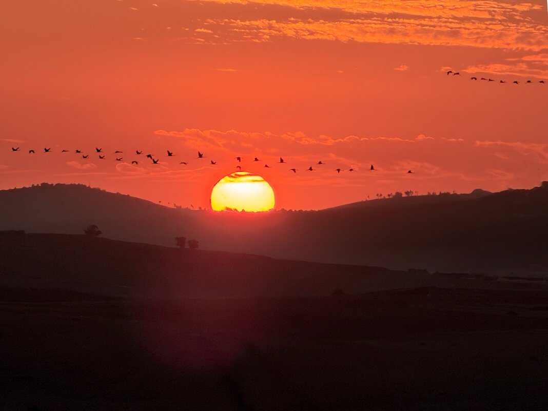 Журавли летят на закат - Александр Деревяшкин