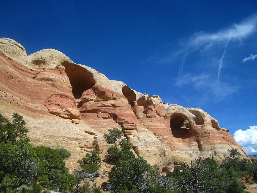 В каньоне Гремучей змеи, Колорадо, США. - unix (Илья Утропов)