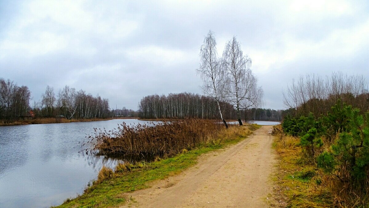 Природа за два дня до календарной зимы. - Милешкин Владимир Алексеевич 