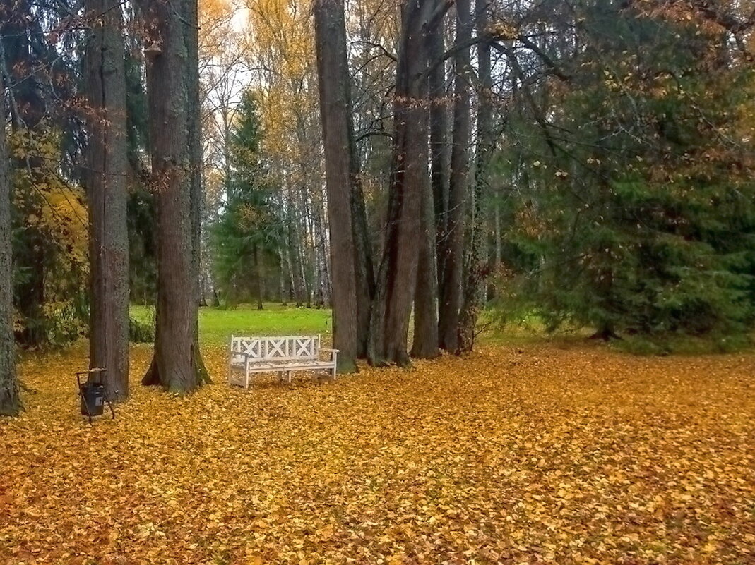 Парк музея-заповедника «Щелыково». - Ольга Довженко