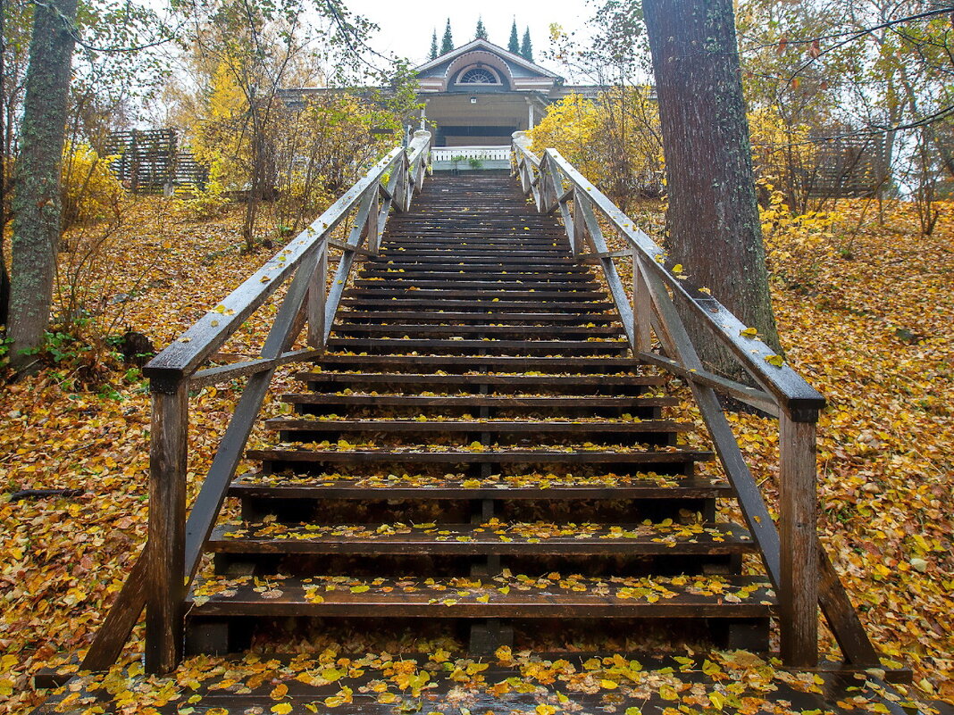 «Щелыково» - музей-заповедник  А. Н. Островского - Ольга Довженко
