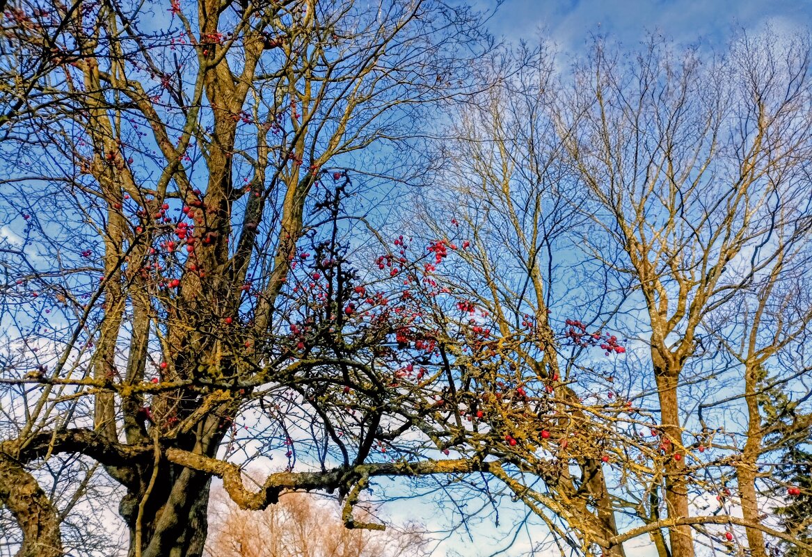 Переплетение - Veera V