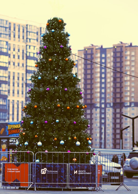 Елочка в Любимово! - Юрий Полторыхин.