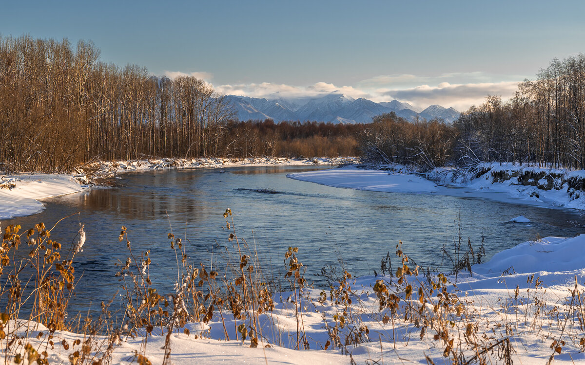 ... - Жора Житников