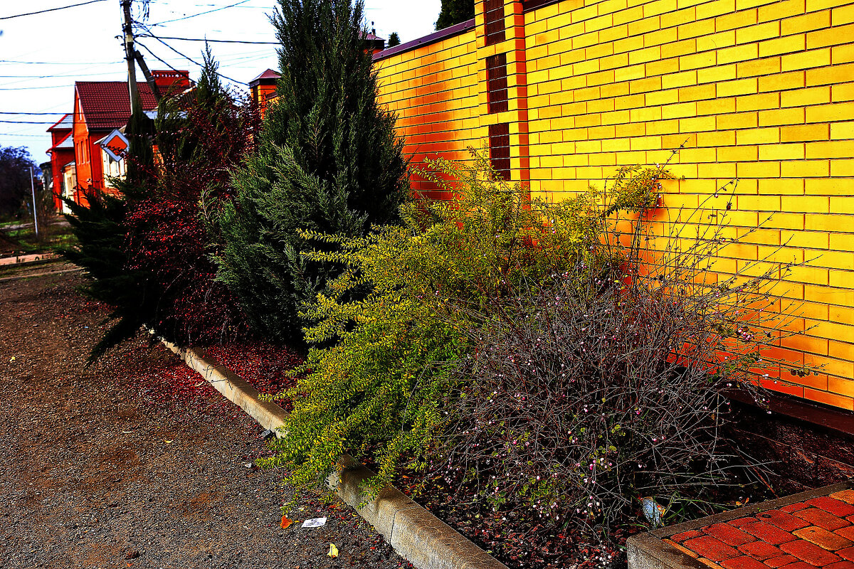 Вот такая зима - Юрий Гайворонскiий