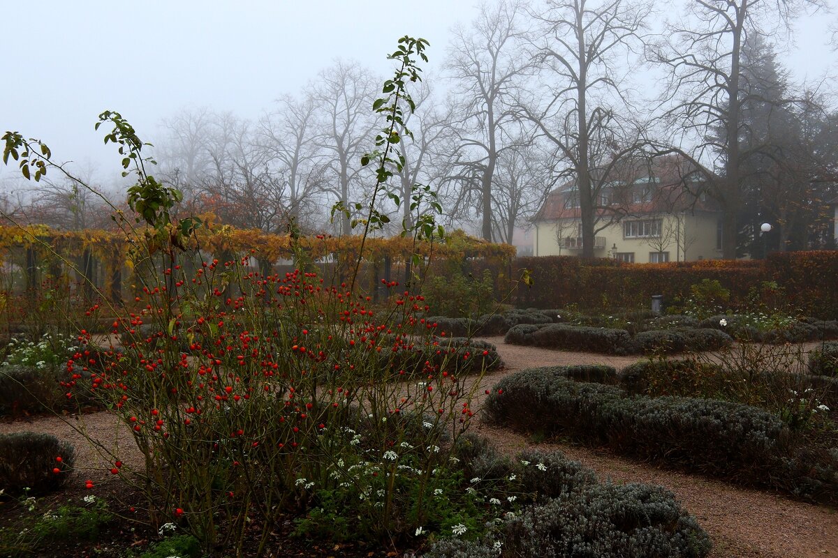 Утро в городе - Юрий. Шмаков
