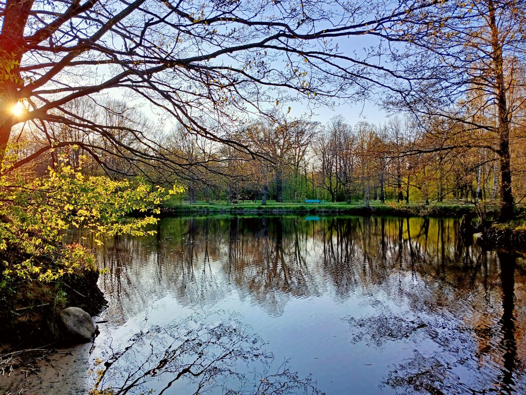 Заходящее солнце. - Лия ☼