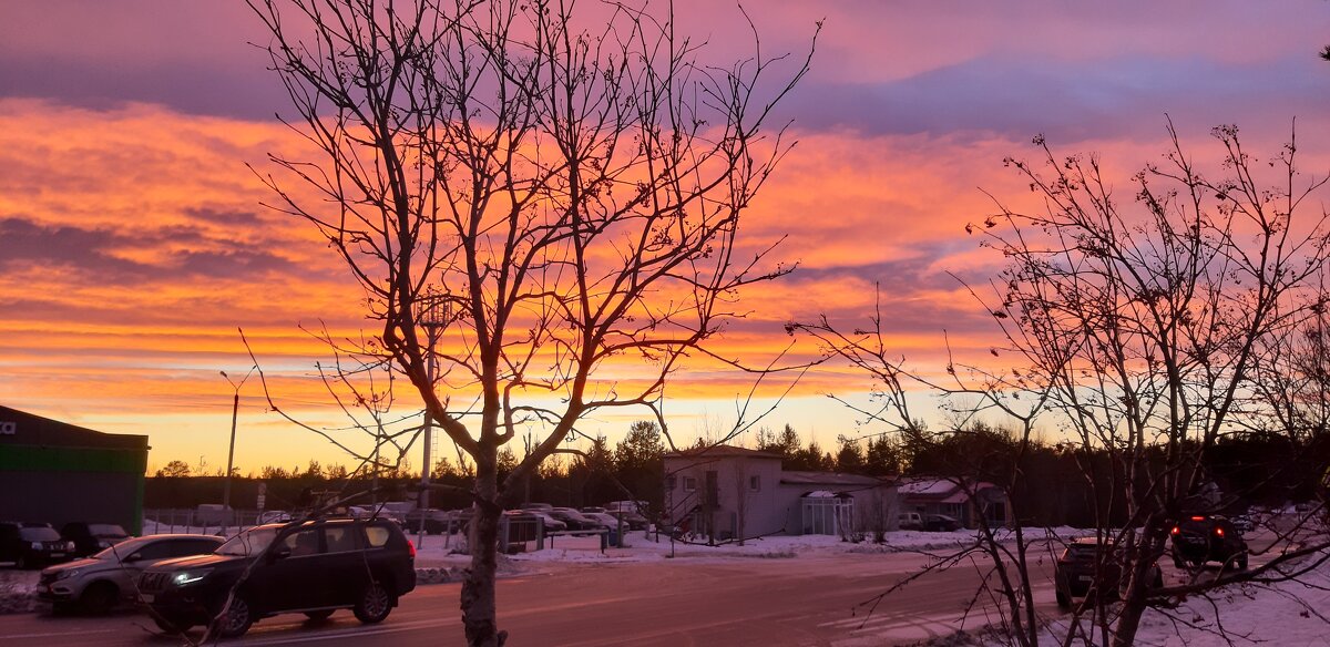 Вечер накануне зимы - Ольга Вечер накануне зимы - Ольга