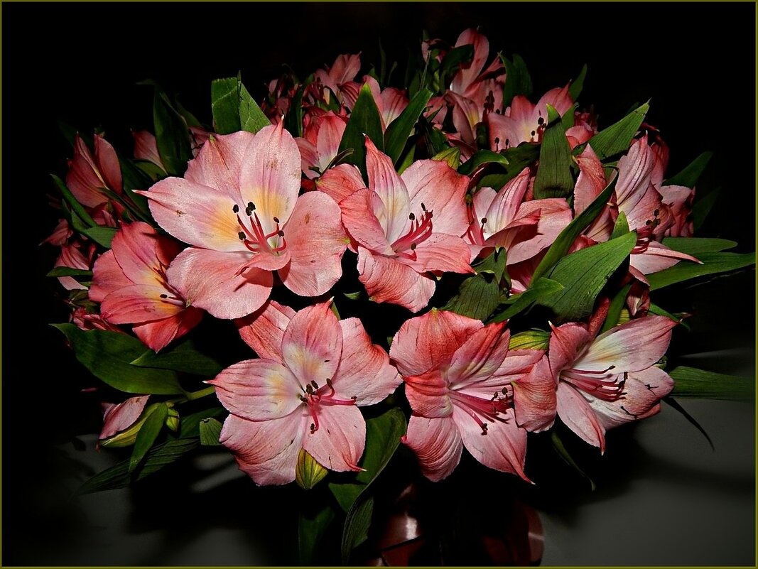 Альстромерия - Валентина Надсон