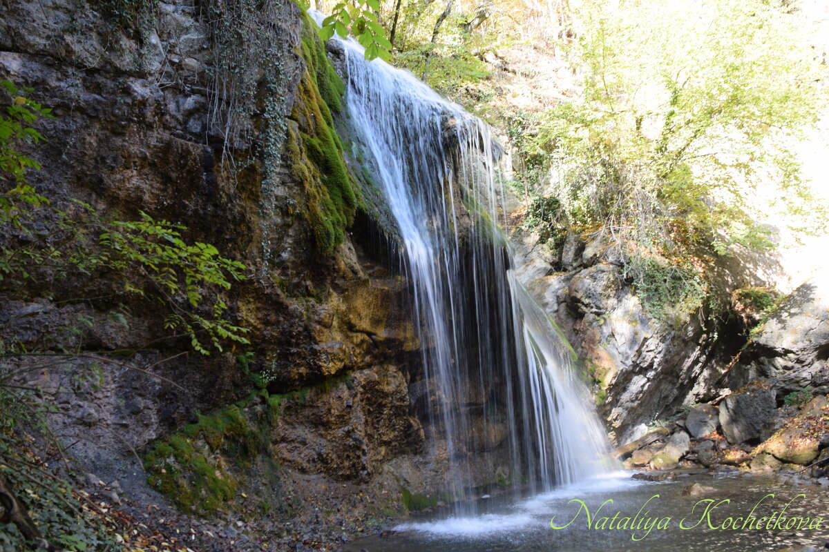 Природа Крыма - Amazing Cosmea