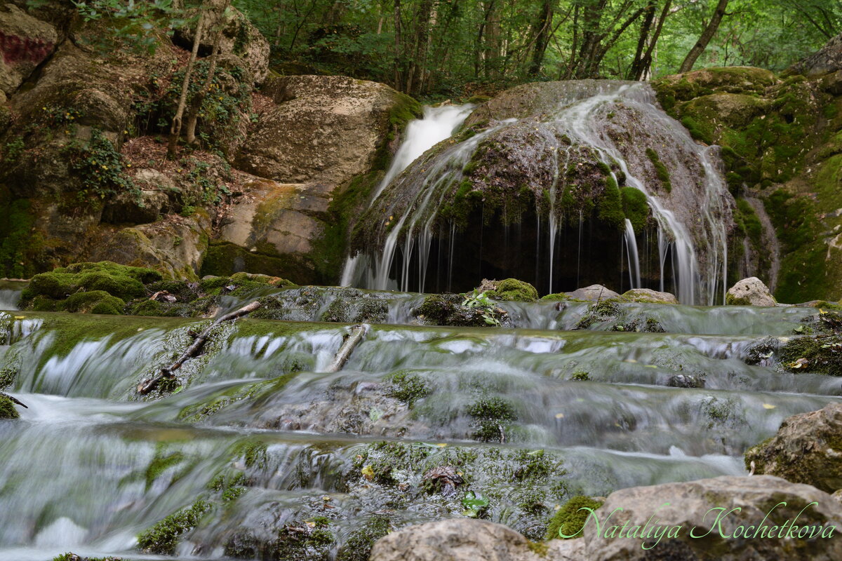 Природа Крыма - Amazing Cosmea