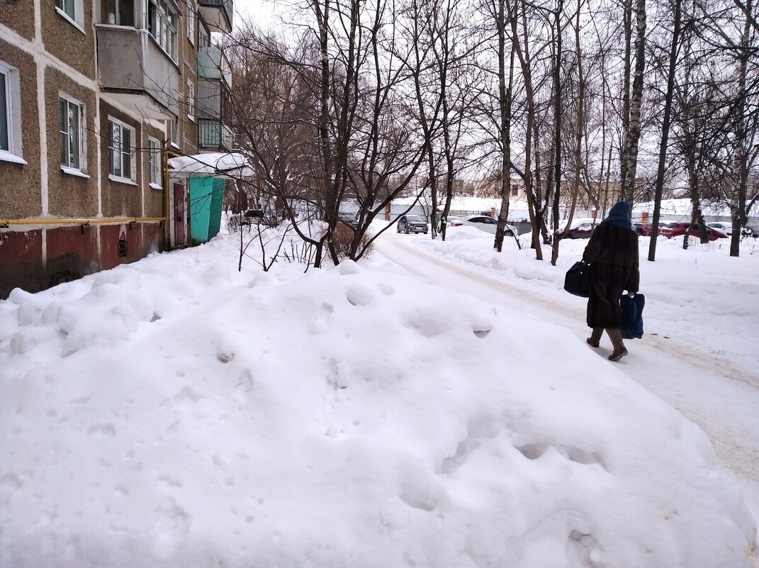 Зимы нам снежной - Елена Семигина Зимы нам снежной - Елена Семигина