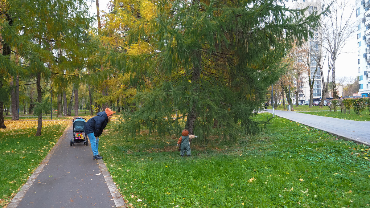 Вон посмотри - юрий поляков