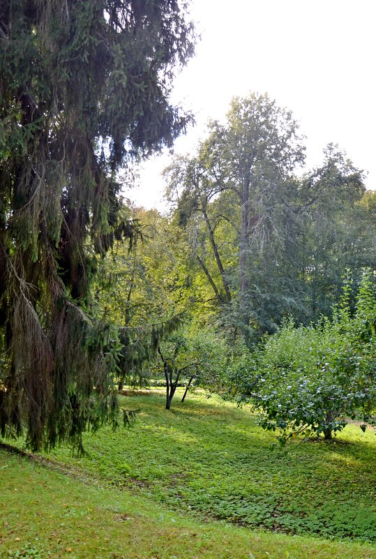 ПЕТРОВСКОЕ, вотчина Ганнибалов. - Виктор Осипчук