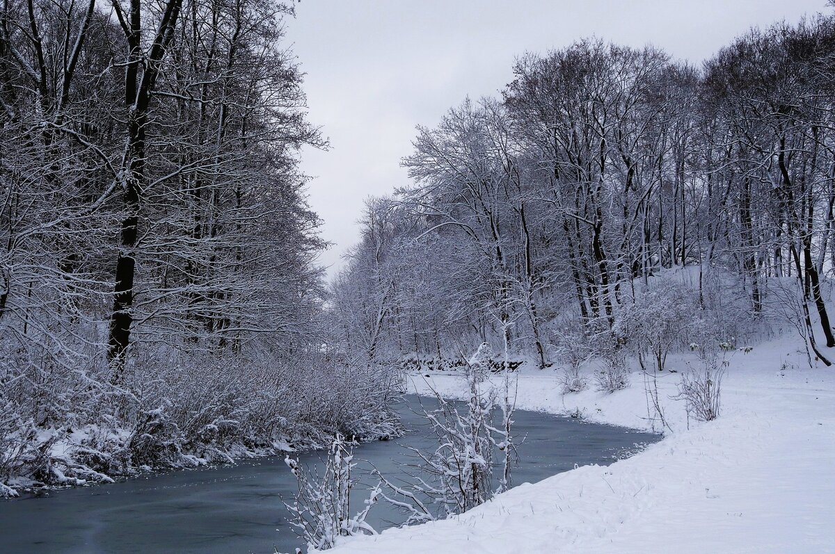 Снежный ноябрь - Рита Симонова