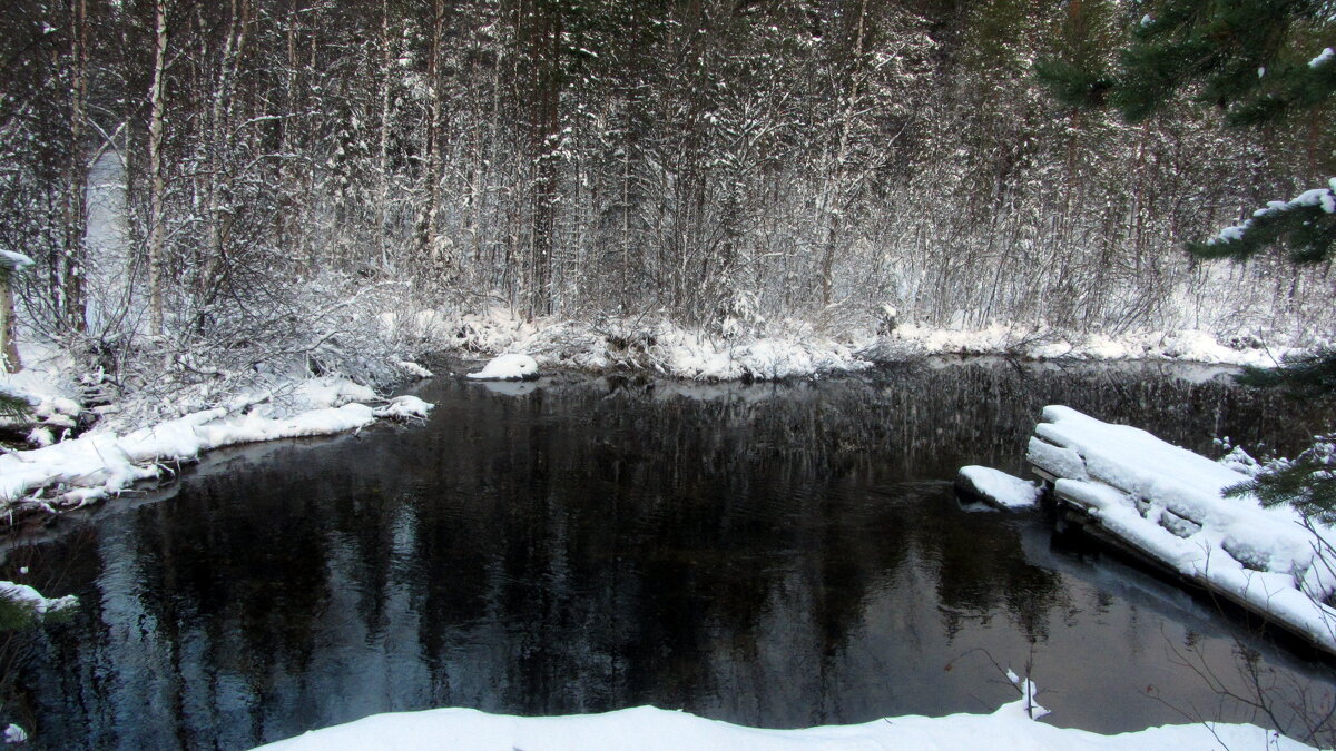 *** - Галина Полина