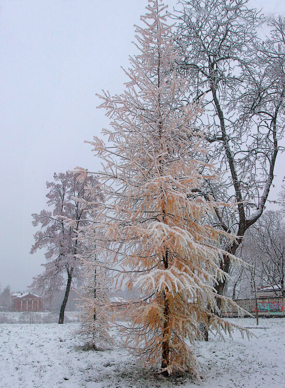 *** - Сергей Григорьев