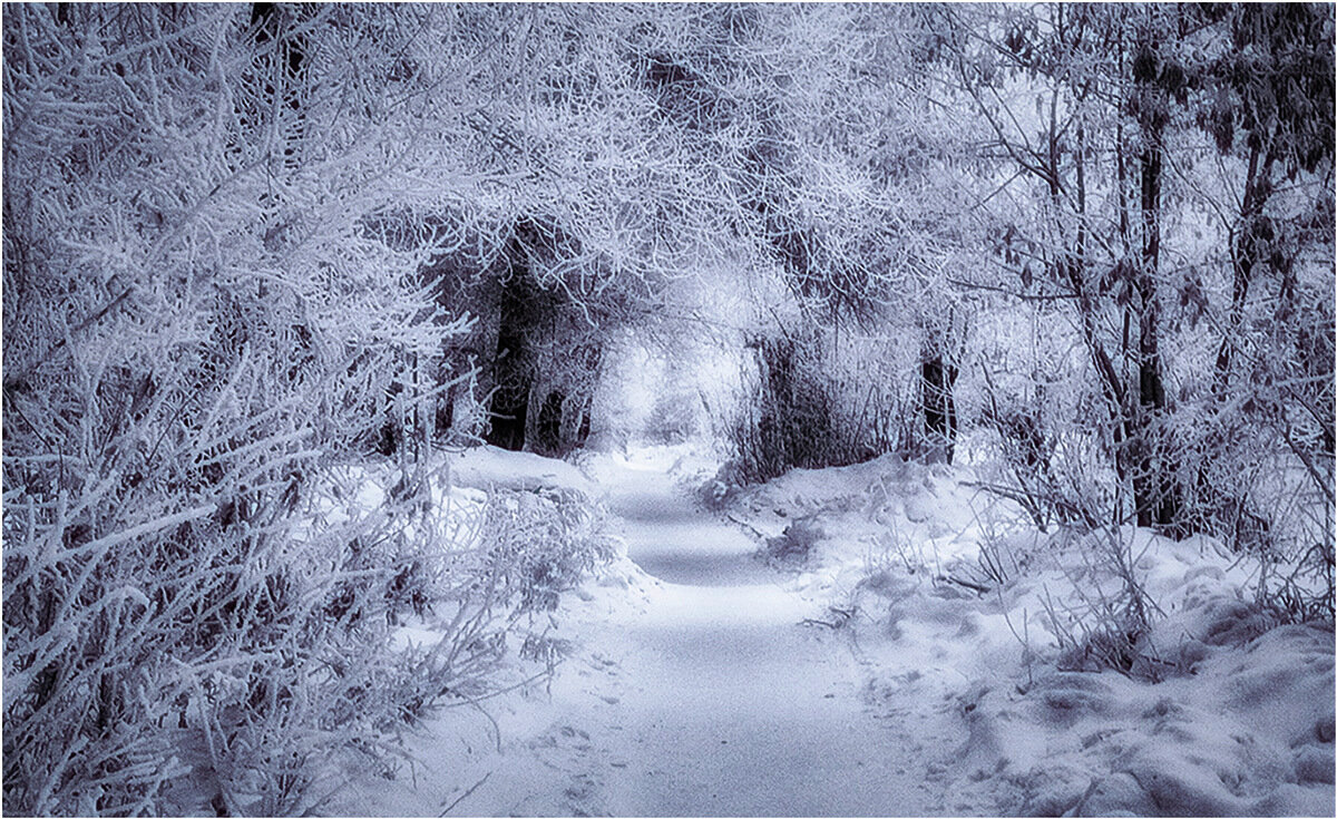 Лабиринт - Людмила Фил