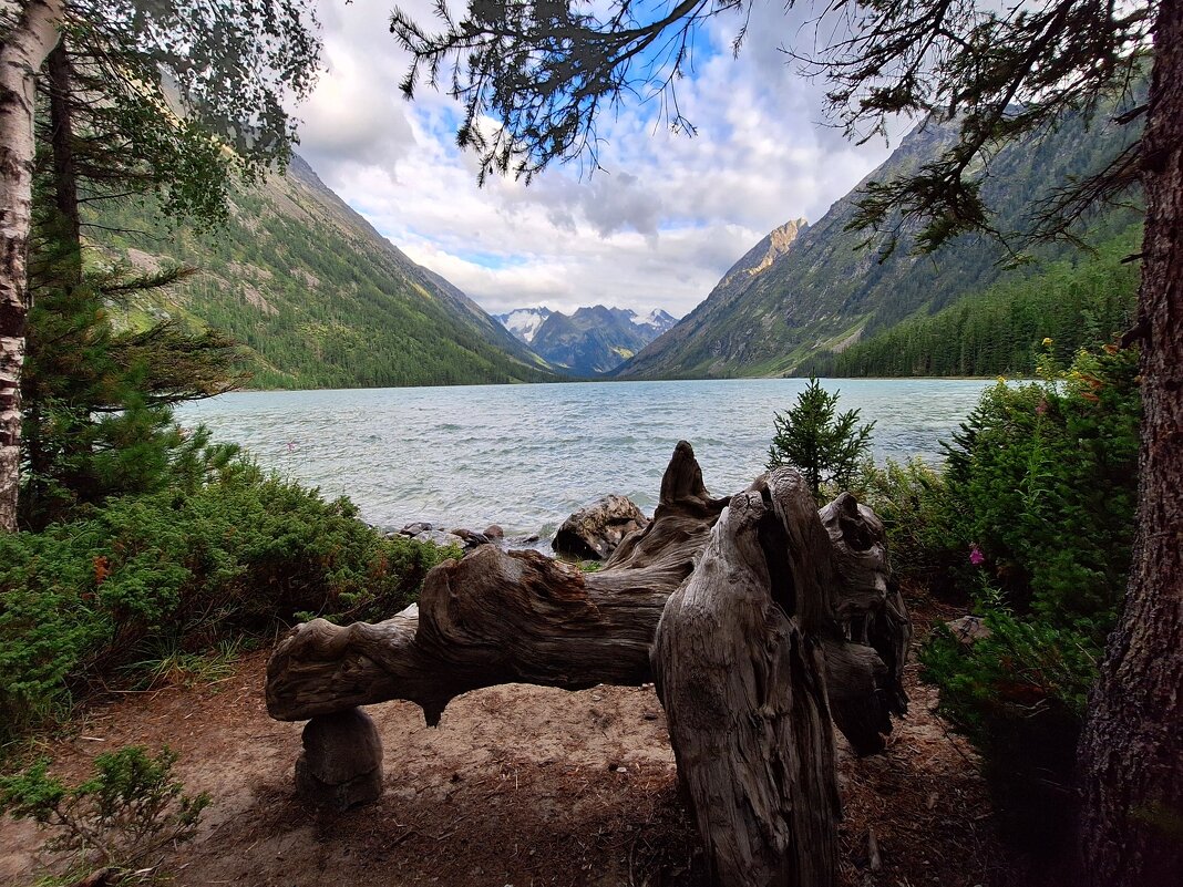 Алтай - Андрей Л. В.