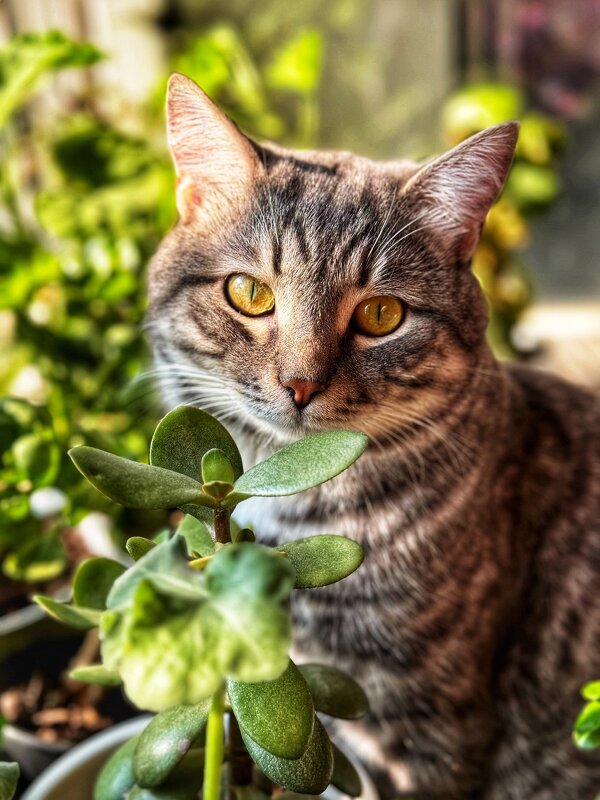 Тимофей - Яна Горбунова