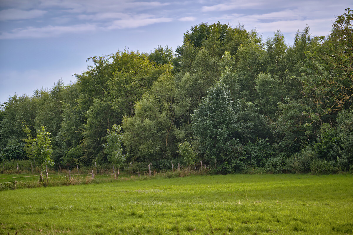 (°-°) - Jakob Dick