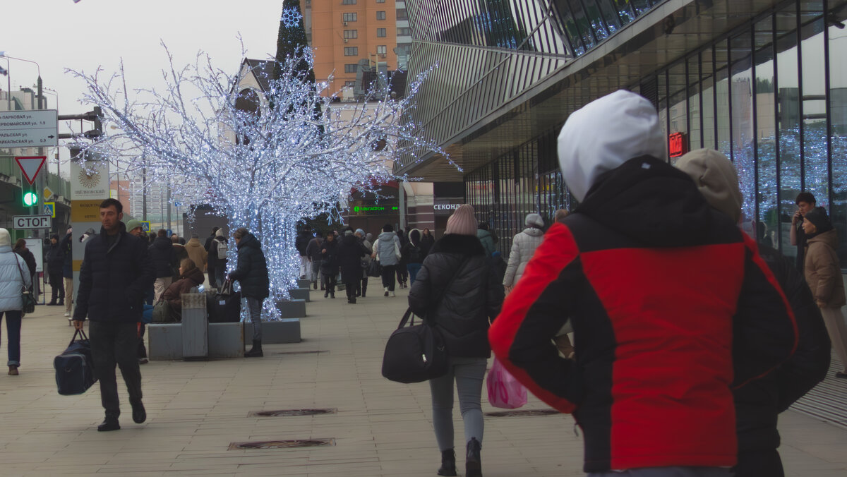 Прогулки по Москве - Сергей Данилов