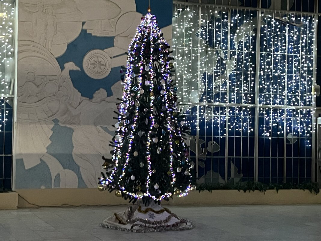 Это наша ёлка - Дмитрий Никитин