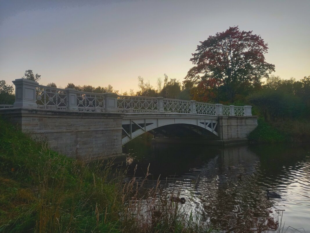 Закат - Сапсан 