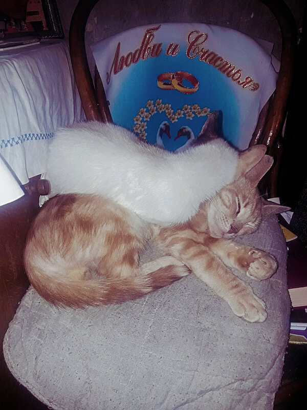 ** - Сергей Кочнев