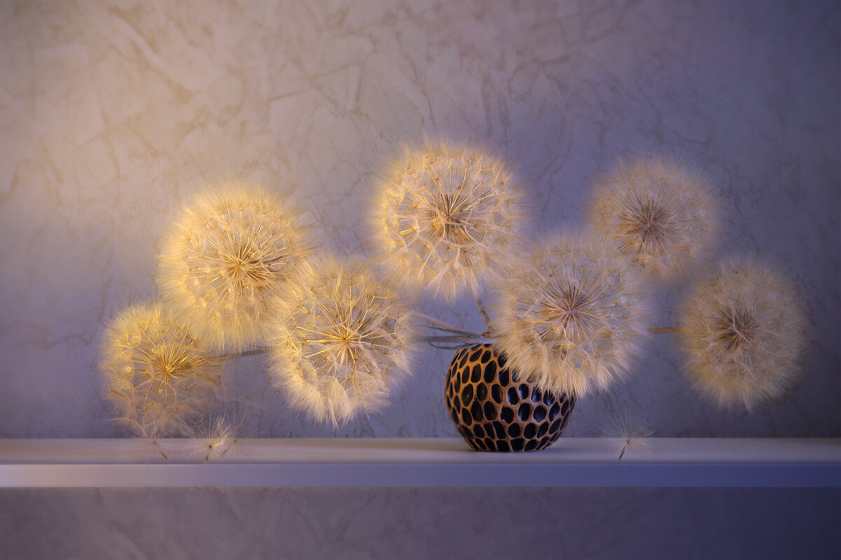 Одуванчики - Olenka 