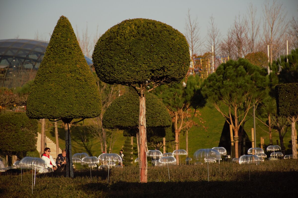 Прогулка. - Юрий Полторыхин.