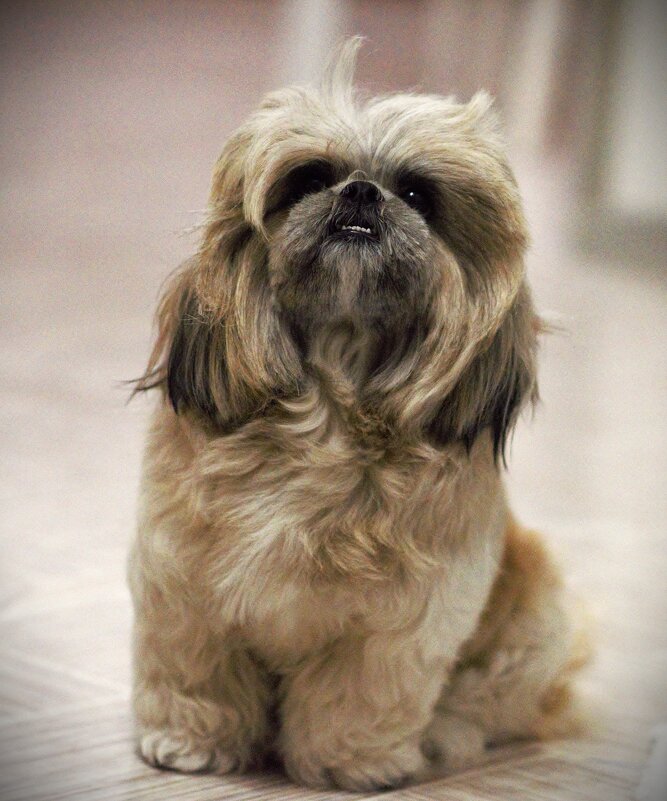 Всем известная фотомодель Лола! - Юрий Полторыхин.