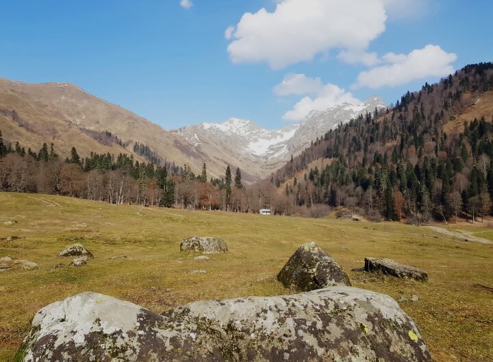 Абхазия - Tata Wolf