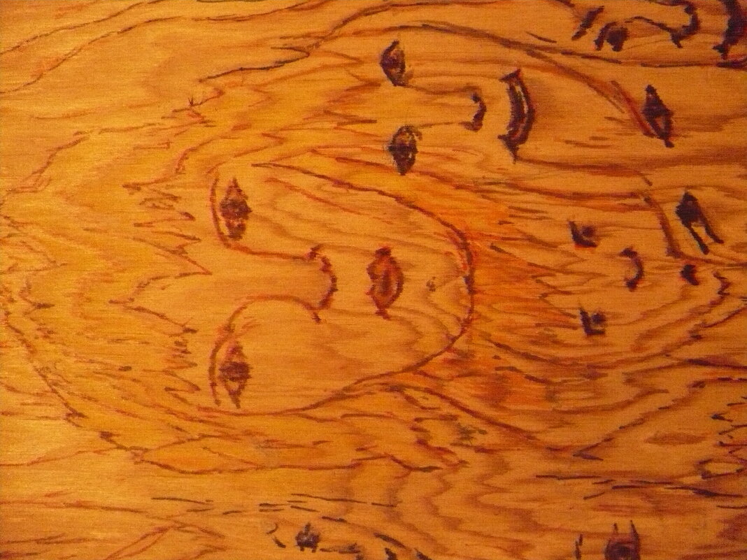 Сосна рисует - лики и  характеры - Валерий Кокорев