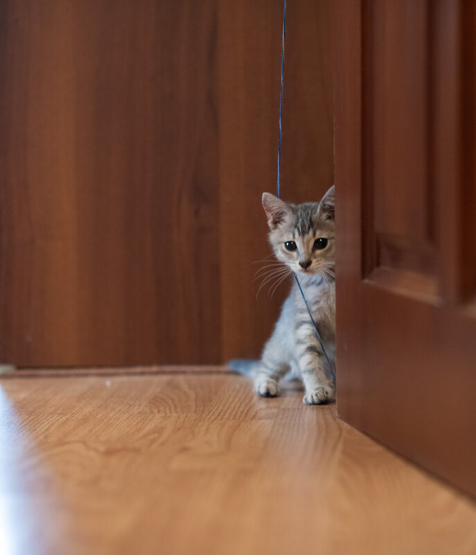 Подкидыш - Петр 