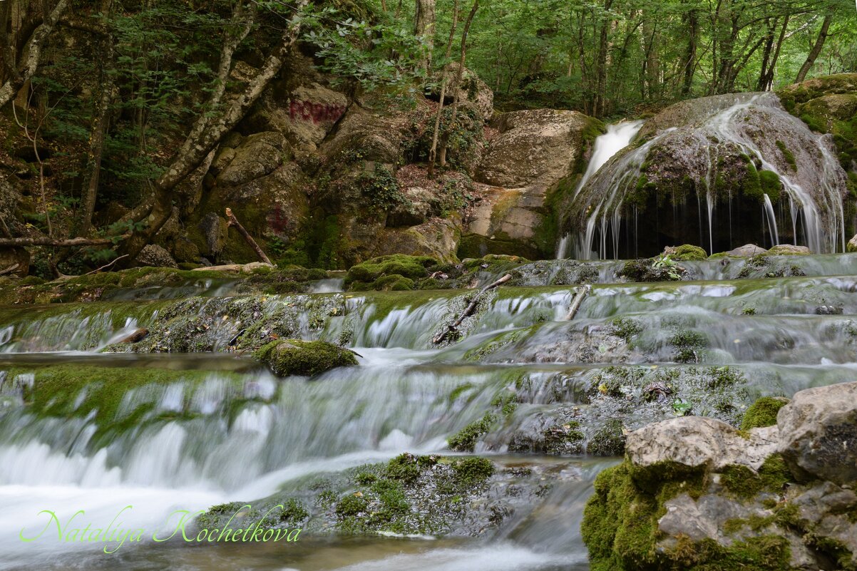 Природа Крыма - Amazing Cosmea