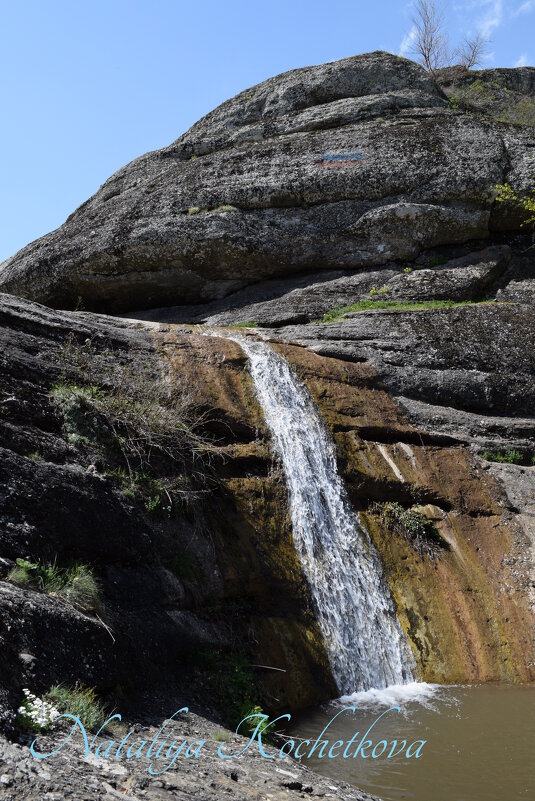 Природа Крыма - Amazing Cosmea