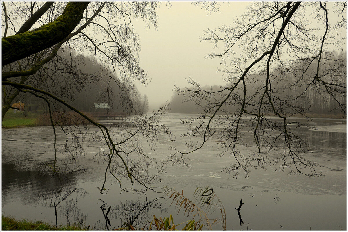 Декабрь - Aleksandr Gal