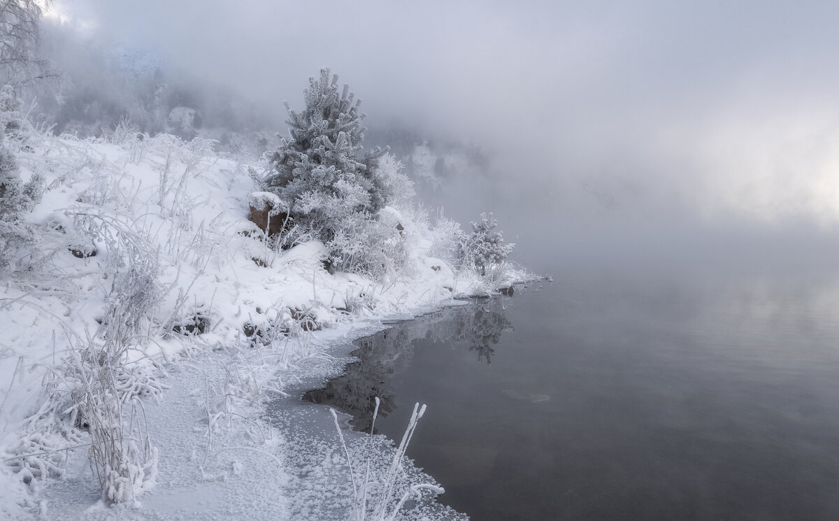 Зимняя ёлочка - Марина Фомина.