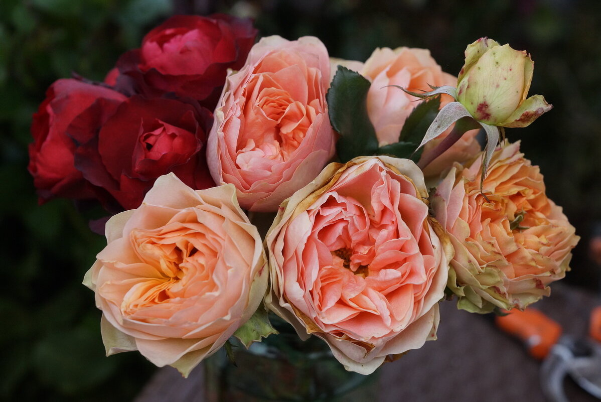 Букет из роз... - Николай Саржанов