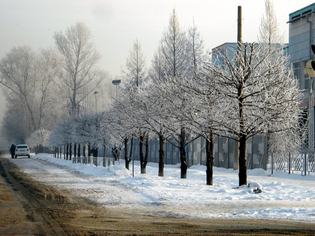 Зима в городе. - nadyasilyuk Вознюк