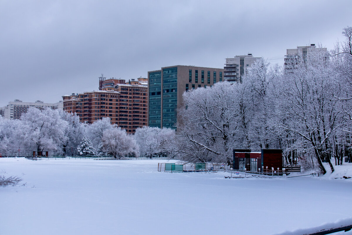 Воронцовский парк - Роман Макаров