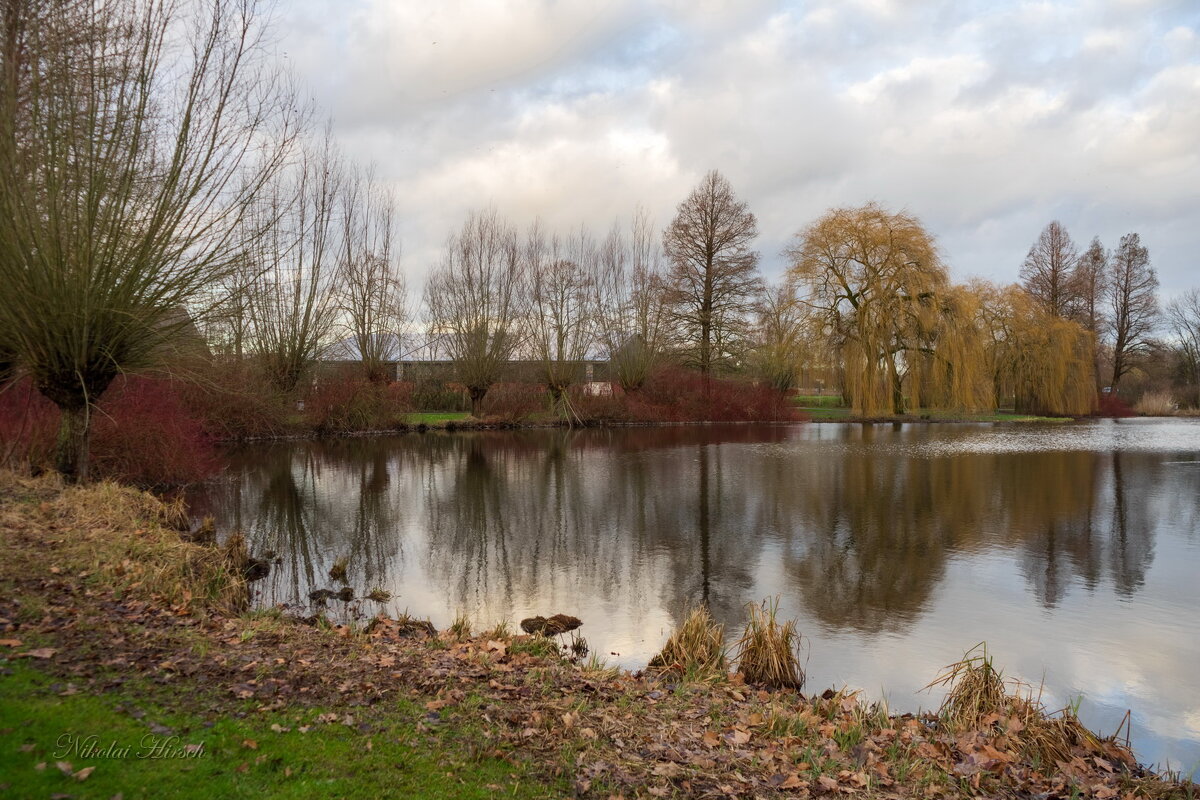 Январское... - Николай Гирш