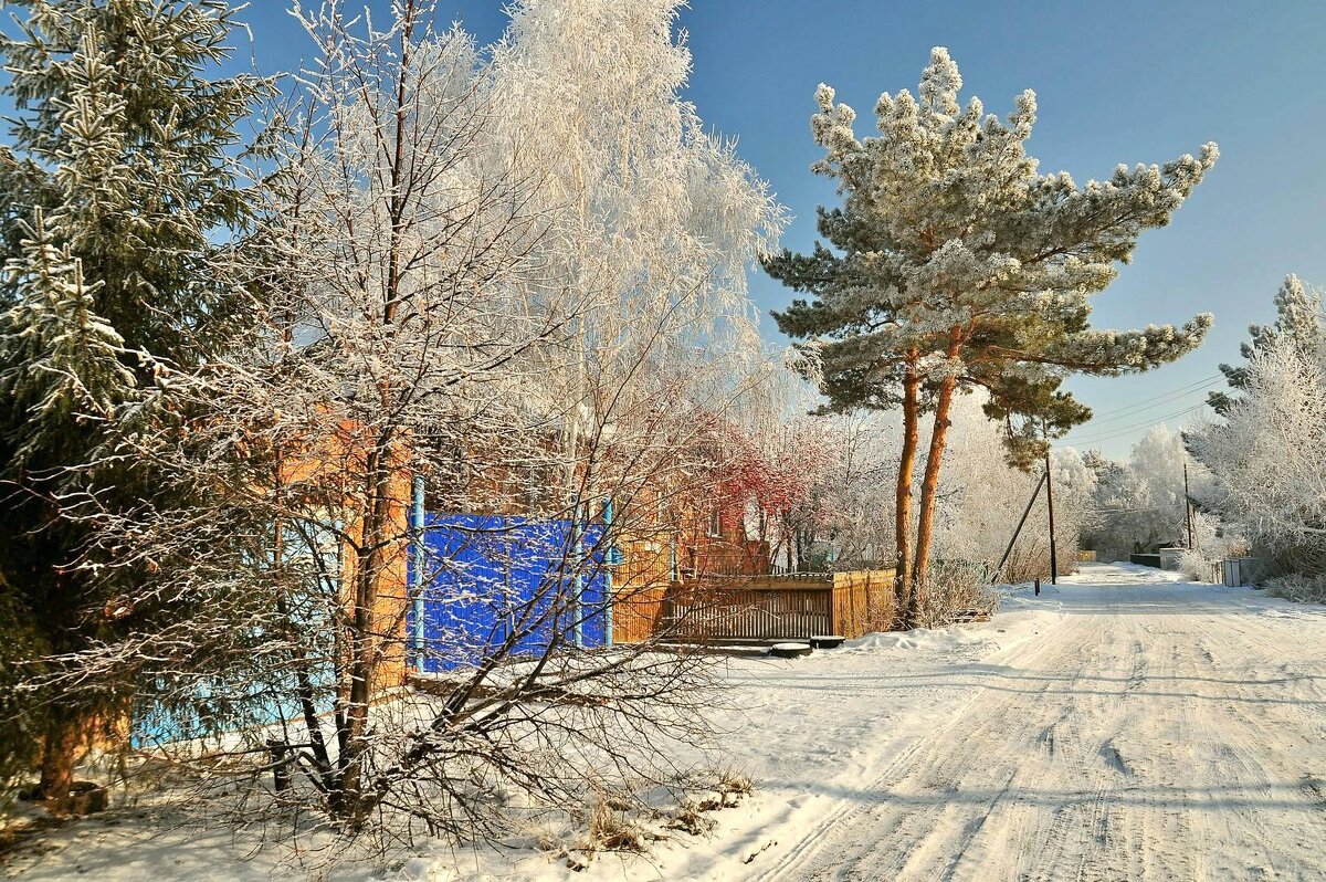 Зима - Владимир Зыбин